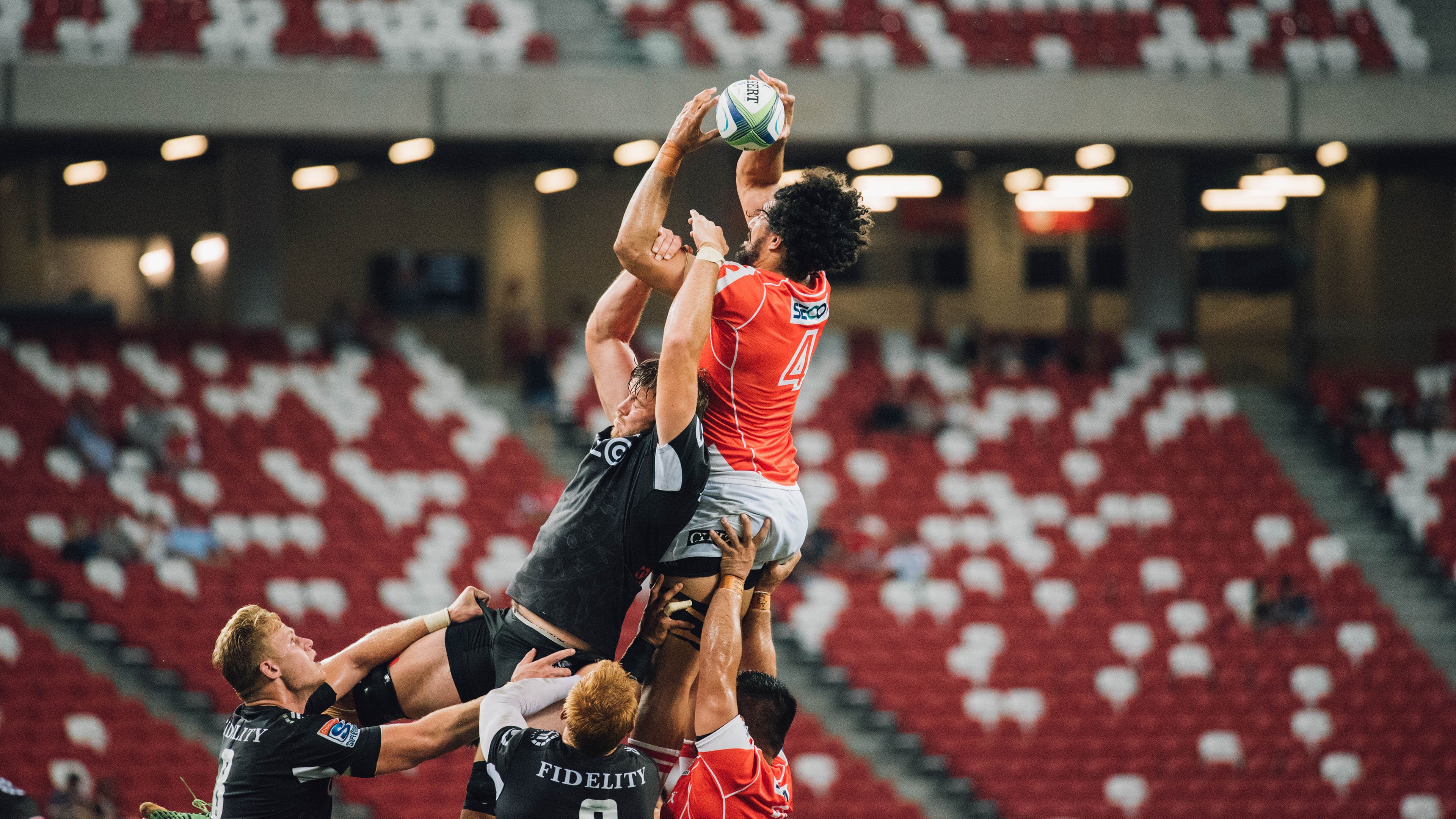 【职业生涯】明星球员的成长故事与未来展望,球星事迹