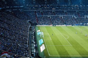 德比郡一鼓作气，主场轻松获胜！，德比郡图片