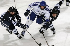 开云官方网页登录-“中国女足在国际比赛中一路高歌，展望2026世界杯”，中国女足在前不久结束的世界卷土重来