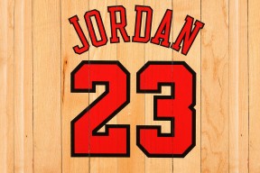 开云官网在线-_运动员退役后的新角色：教练、解说、公益先锋_，运动员退役做教练